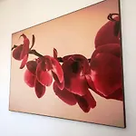 Apartament Margarita
